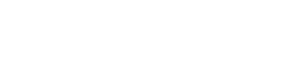 Nietzsche Logo