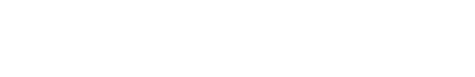 Nietzsche Logo