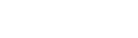 Nietzsche Logo