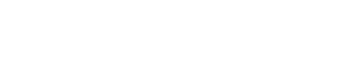 Nietzsche Logo